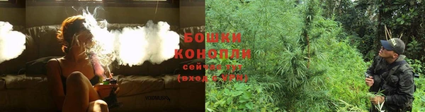 каннабис Сясьстрой
