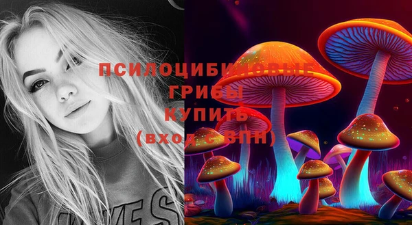 МДМА Белокуриха
