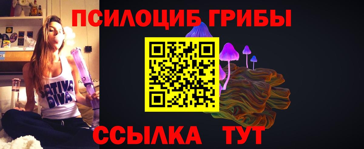 Верхняя Пышма  Галлюциногенные грибы мицелий  Галлюциногенные грибы Magic Shrooms  наркота  Вход с VPN 